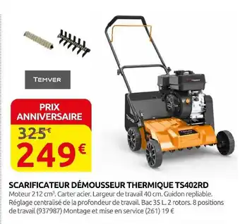 Rural Master Temver Scarificateur Démousseur Thermique TS402RD offre