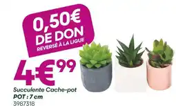Ma Jardinerie Succulente Cache-pot offre