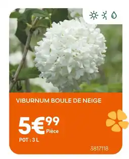 Ma Jardinerie Viburnum Boule de Neige offre