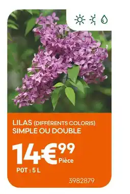 Ma Jardinerie Lilas simple ou double offre