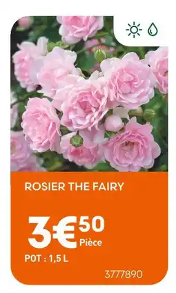 Ma Jardinerie Rosier The Fairy offre