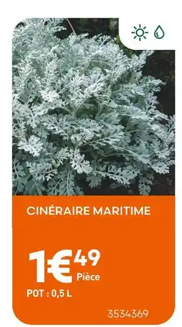 Ma Jardinerie Cinéraire Maritime offre