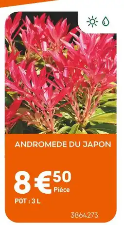 Ma Jardinerie Andromede du Japon offre