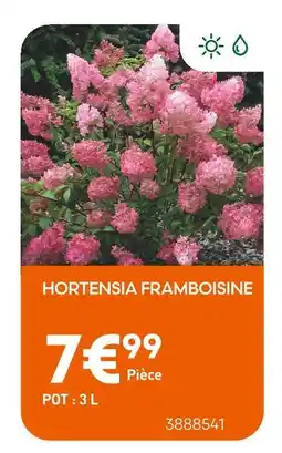 Ma Jardinerie Hortensia Framboisine offre