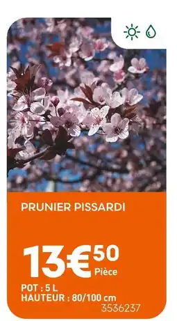 Ma Jardinerie Prunier Pissardi offre