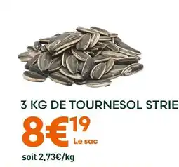 Ma Jardinerie Tournesol Strié offre