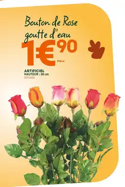 Ma Jardinerie Bouton de Rose goutte d'eau offre