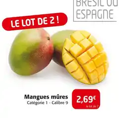 Colruyt Mangues mûres offre