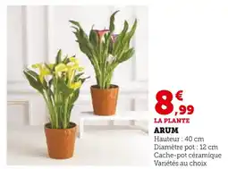 Hyper U Arum offre