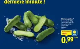 Lidl Mini concombre offre
