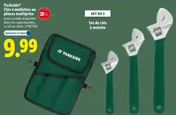 Lidl PARKSIDE Clés à molettes ou pinces multiprise offre