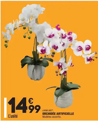 ALDI Orchidée Artificielle offre