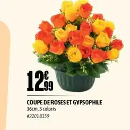 L'incroyable Coupe de roses et gypsophile offre