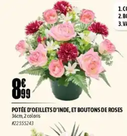 L'incroyable Potée d'oeillets d'inde, et boutons de roses offre