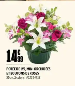 L'incroyable Potée de lys, mini orchidées et boutons de roses offre