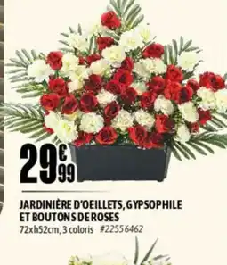L'incroyable Jardinière d'oeillets, gypsophile et boutons de roses offre