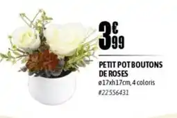 L'incroyable Petit pot boutons de roses offre