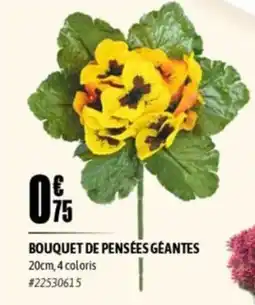 L'incroyable Bouquet de pensées géantes offre