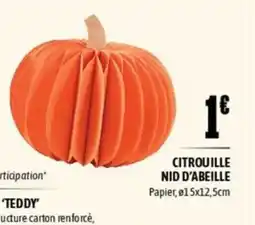 L'incroyable Citrouille nid d'abeille offre