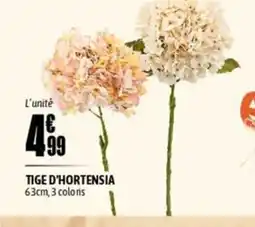 L'incroyable Tige d'hortensia offre