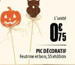 L'incroyable Pic décoratif offre