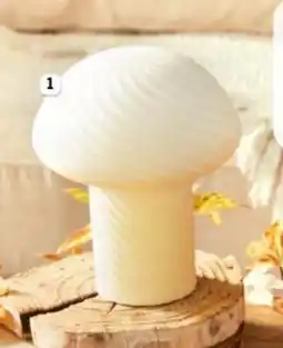 L'incroyable Champignon lumineux swirl offre