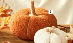 L'incroyable Citrouille décorative offre