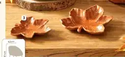 L'incroyable Vide poche feuille offre
