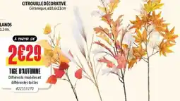 L'incroyable Tige d'automne offre