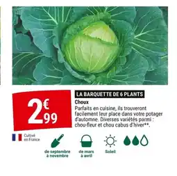 Gamm vert Choux offre