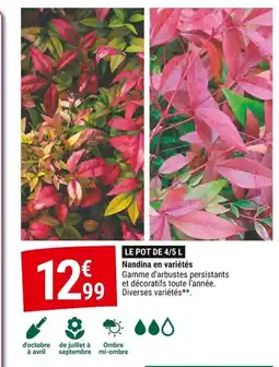 Gamm vert Nandina en variétés offre