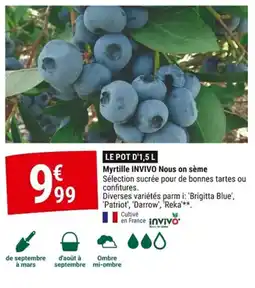 Gamm vert INVIVO Myrtille Nous on sème offre