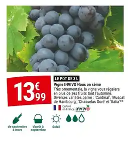 Gamm vert INVIVO Vigne Nous on sème offre