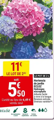 Gamm vert ECLOZ Hortensia de jardin Hydrangea macrophylla offre