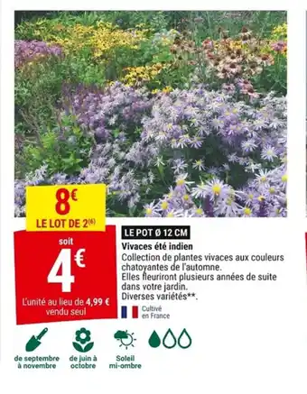 Gamm vert Vivaces été indien offre