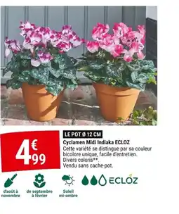 Gamm vert ECLOZ Cyclamen Midi Indiaka offre