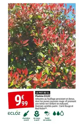 Gamm vert ECLOZ Photinia offre