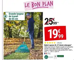 Gamm vert Balai à gazon xl 27 dents leborgne offre