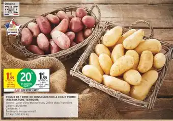 Pomme de terre de consommation à chair ferme