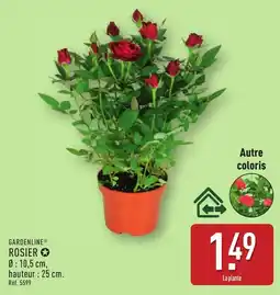 ALDI GARDENLINE Rosier offre