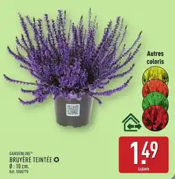 ALDI GARDENLINE Bruyère teintée offre