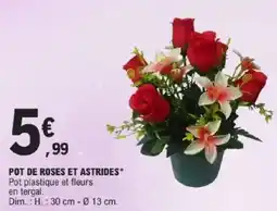 E.Leclerc Pot de roses et astrides offre