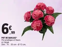 E.Leclerc Pot de dahlias offre