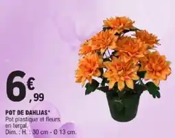 E.Leclerc Pot de dahlias offre