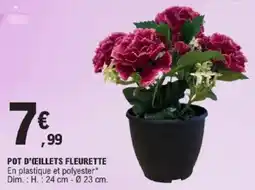 E.Leclerc Pot d'œeillets fleurette offre