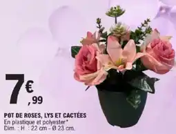 E.Leclerc Pot de roses, lys et cactées offre
