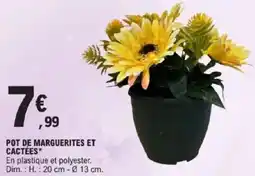 E.Leclerc Pot de marguerites et cactées offre
