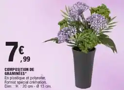 E.Leclerc Composition de graminées offre