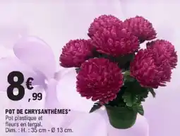 E.Leclerc Pot de chrysanthèmes offre