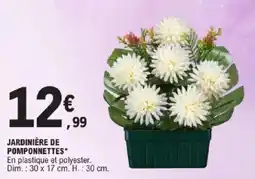 E.Leclerc Jardinière de pomponnettes offre